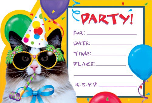 Birthday Party Invitation Wording Ideas