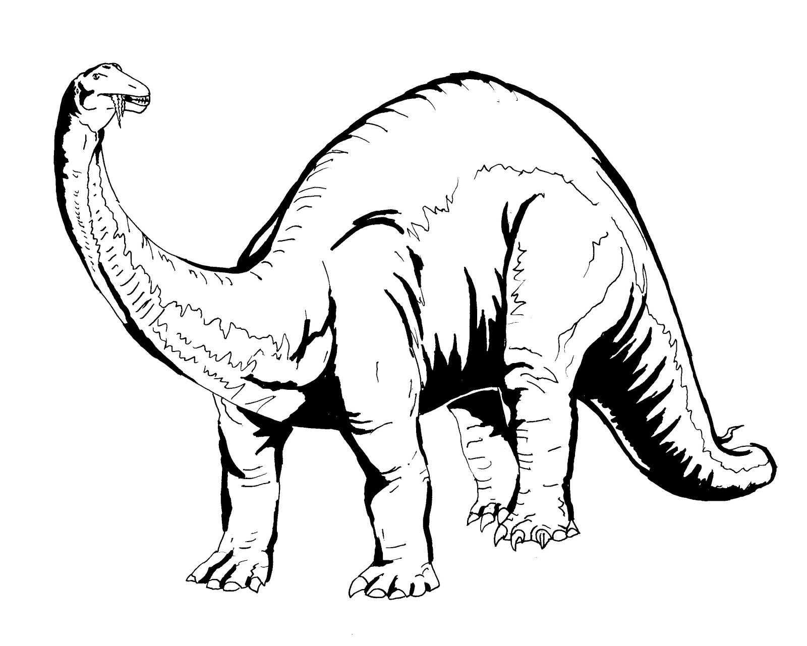 Free Printable Coloring Pages Dinosaurs