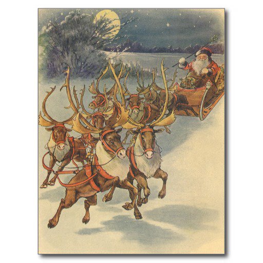 Reindeer Christmas Blank Invitations